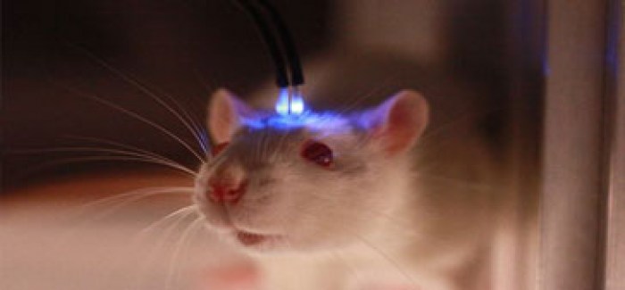 Optogena stimulacija